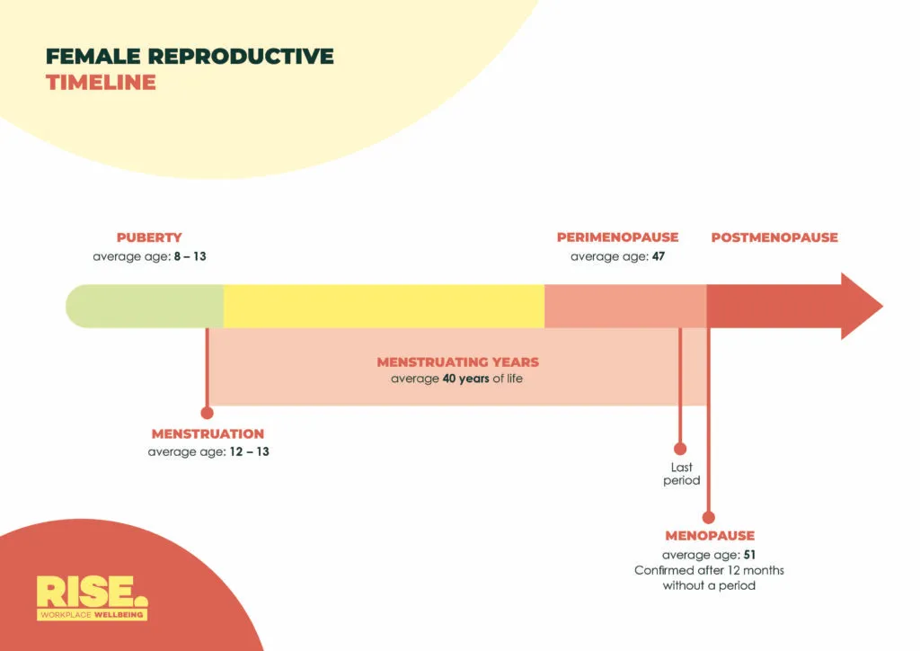 A timeline of menopause